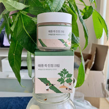 Load image into Gallery viewer, Round Lab Mugwort Calming Cream - SKIN.TO